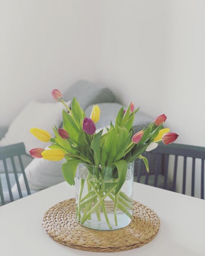 Cioccis Boutique Apartment โรม ภายนอก รูปภาพ